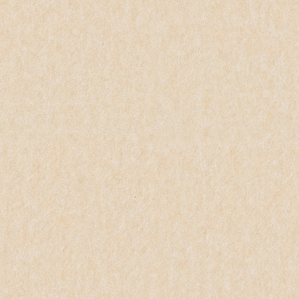 B77 - Cream